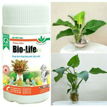 Dung dịch thủy canh Biolife chai 100ml
