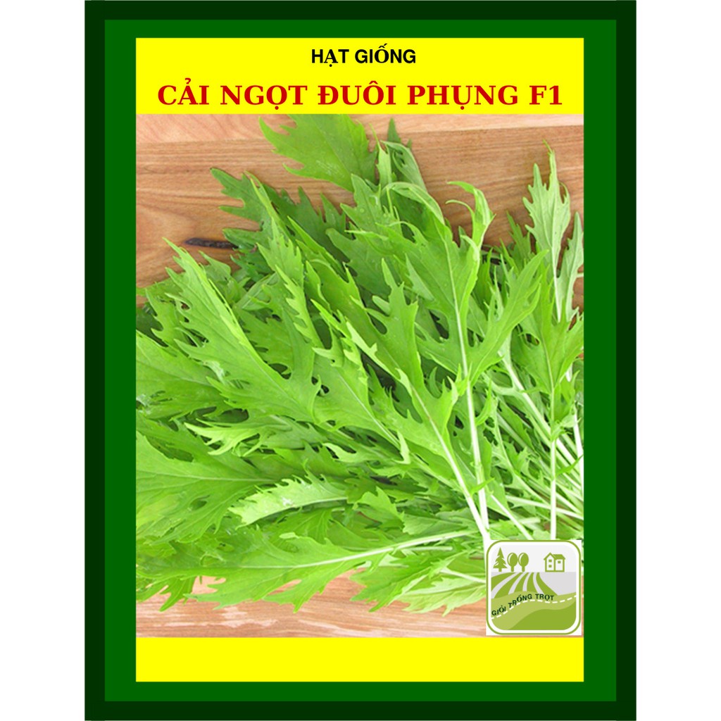 20G - Hạt Giống Cải Ngọt Đuôi Phụng