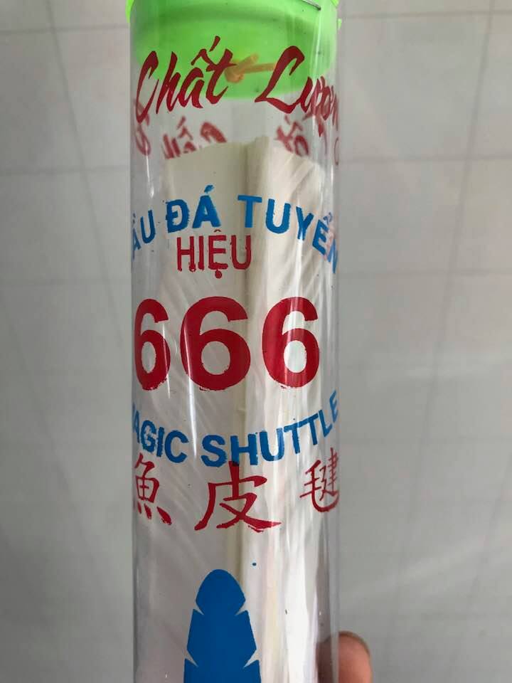 Cầu đá 666 - 1 trái