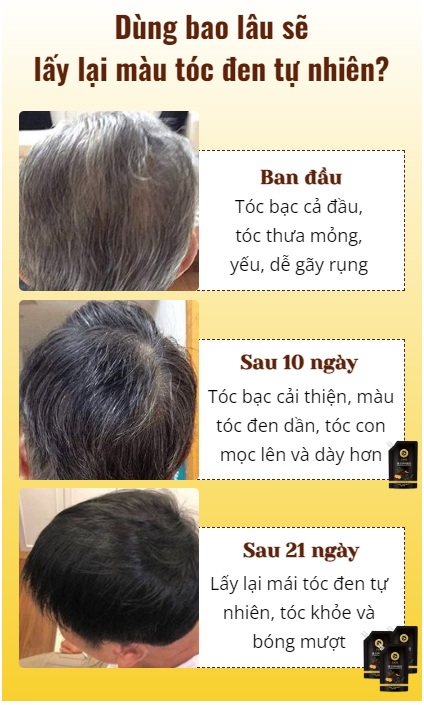 Dầu gội cao phủ bạc linh chi đen