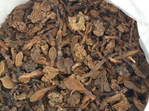 Nấm Ngọc Cẩu Khô - 1kg