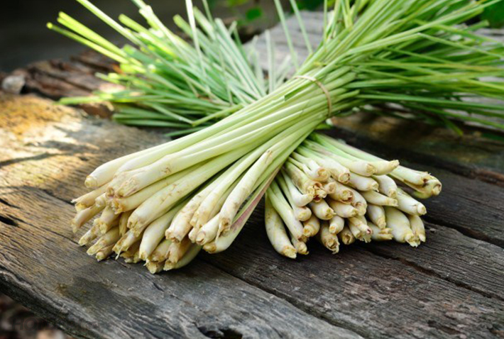 Tinh dầu sả chanh Lemongrass