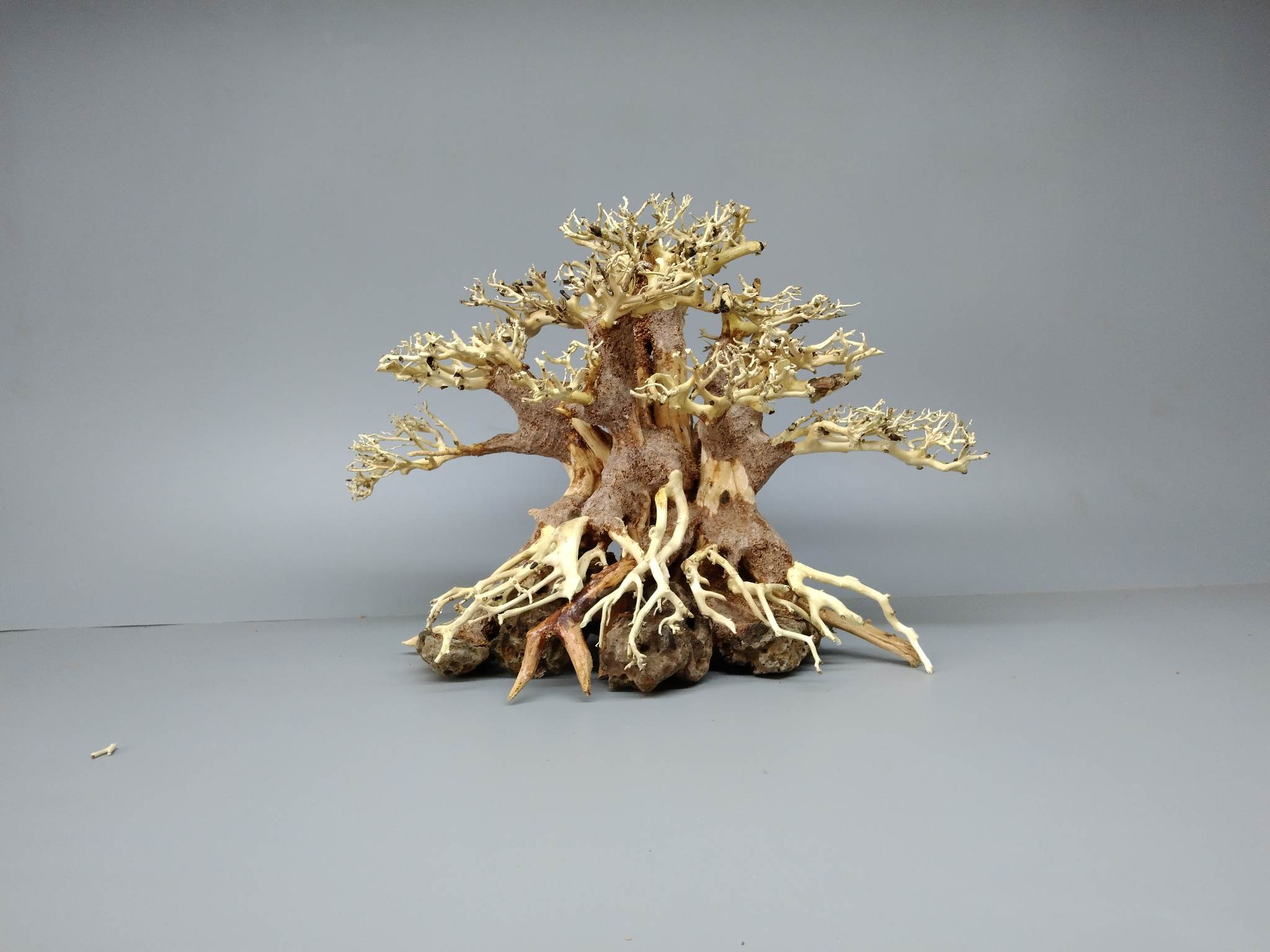 Cây gỗ lũa bonsai [Dùng cho hồ thủy sinh, hàng cao cấp ]