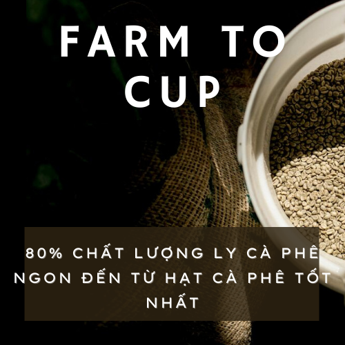 CÀ PHÊ COLD BREW ĐÓNG CHAI - KaffaHill - Kaffa Hill Coffee