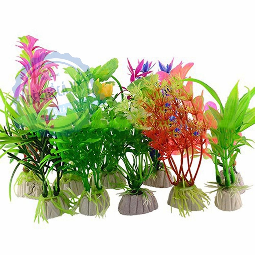 CÂY CẢNH MINI TRANG TRÍ HỒ CÁ