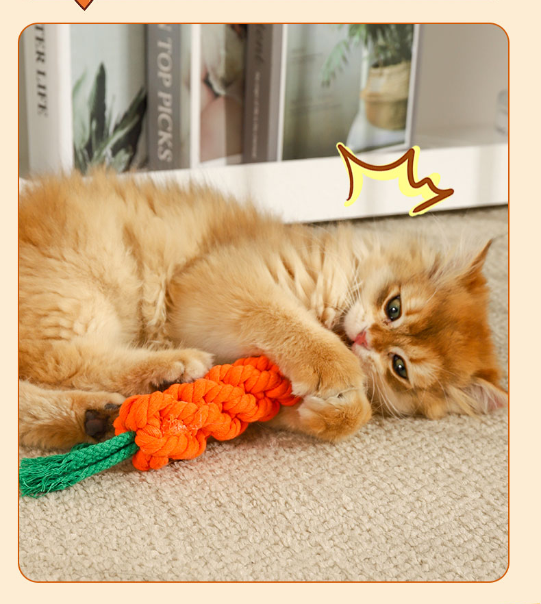 đồ chơi chó mèo - cà rốt thừng cho chó mèo - T3 PETS SHOP