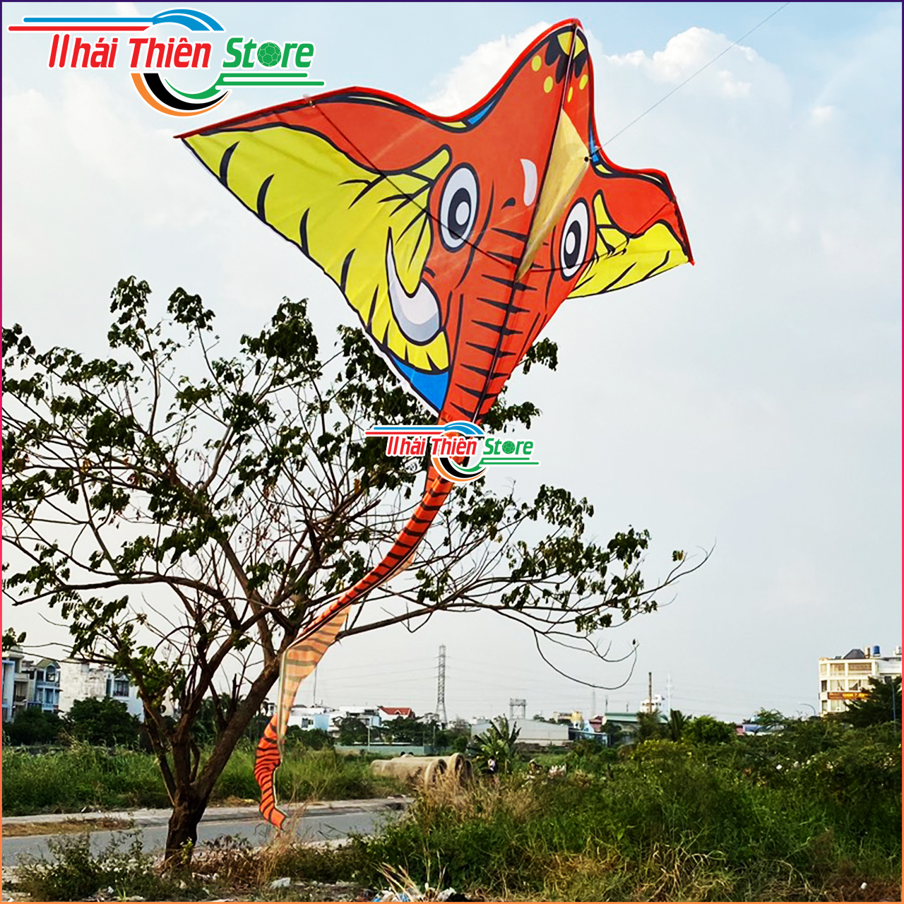 Diều Voi Đại Đăng Quang