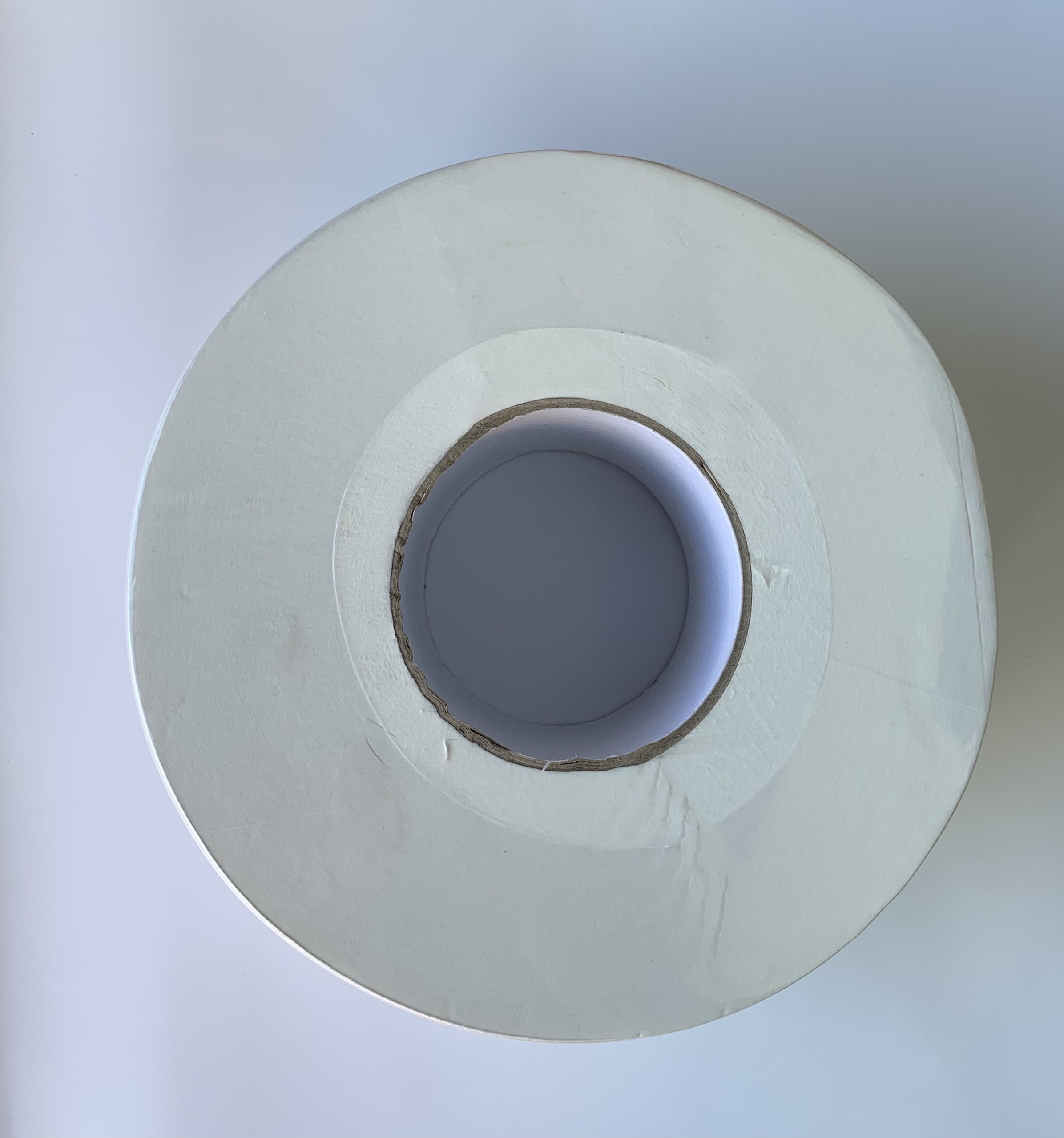1 CUỘN GIẤY VỆ SINH LỚN