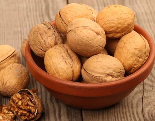 HẠT ÓC CHÓ