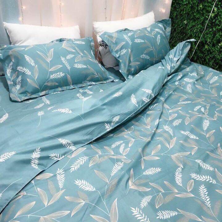 Bộ ga cotton 4 món Hàn Quốc