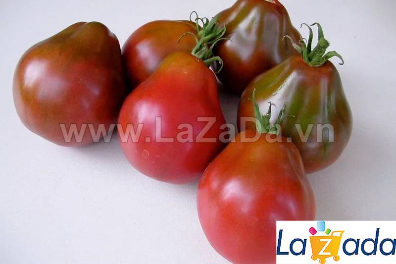 30h Hạt Giống Cà Chua Lê ĐẠI (A3.402| B42*W62*M178)