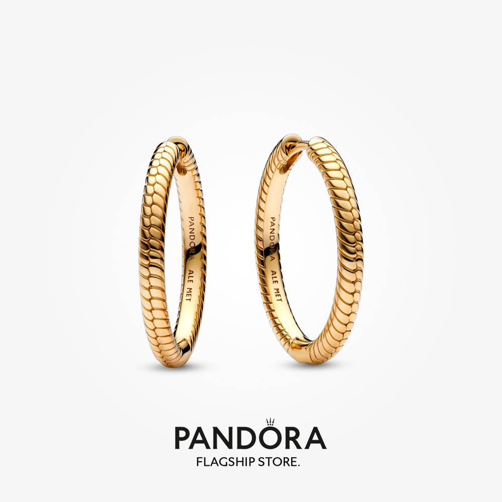 Hot 2023 Pandora Moments Charm Hoop Earrings