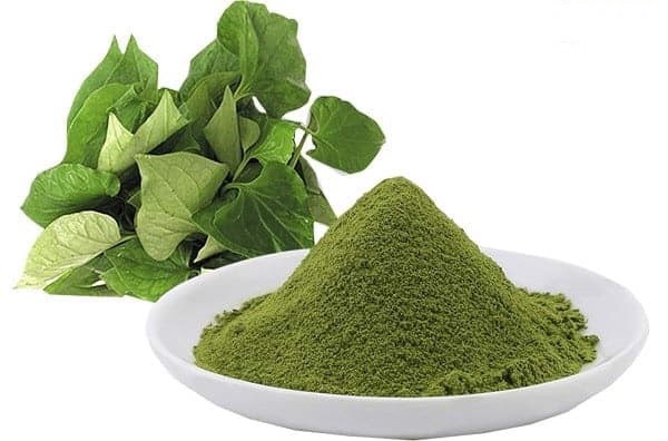 BỘT RAU DIẾP CÁ BEHENA - LIÊN KẾT XANH