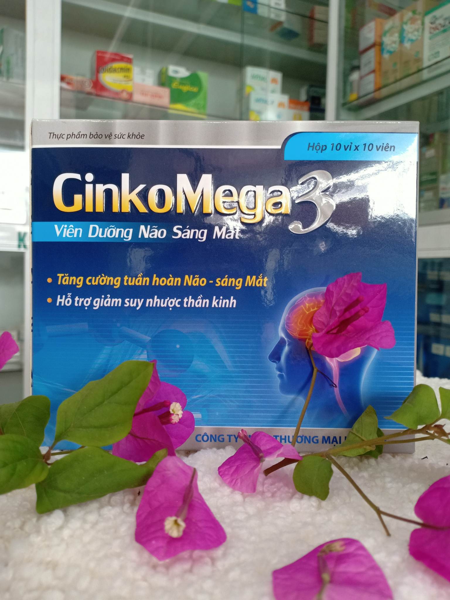 GINKOMEGA 3 - Viên dưỡng não sáng mắt, tăng cường tuần hoàn, Hỗ trợ giảm suy nhược thần kinh hộp