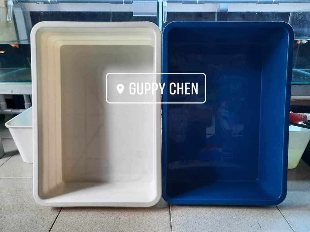 Khay Nhựa Nuôi Cá Đế Vuông 16L 50x35x13cm , Khay 20L 50x35x16cm