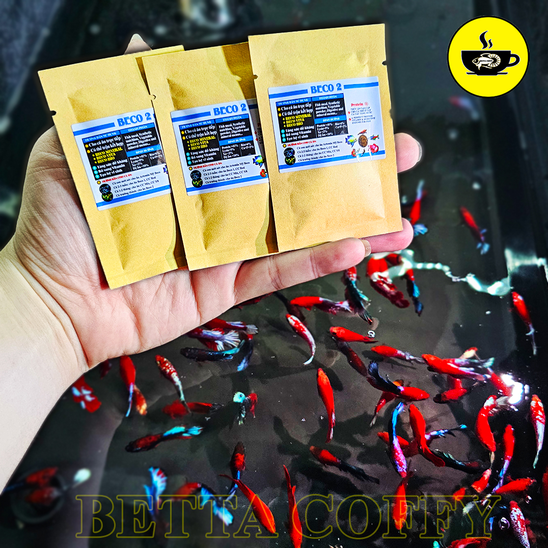 [Hoàn Tiền 15%] Cám BECO 1 2 - Thức ăn cho cá lớn 🐠 BETTA COFFY