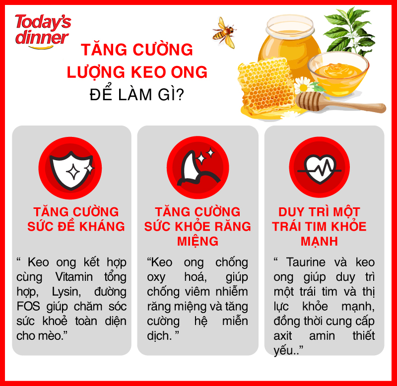TODAY'S DINNER- Thức ăn hạt cho mèo mọi lứa tuổi gói dùng thử 40g