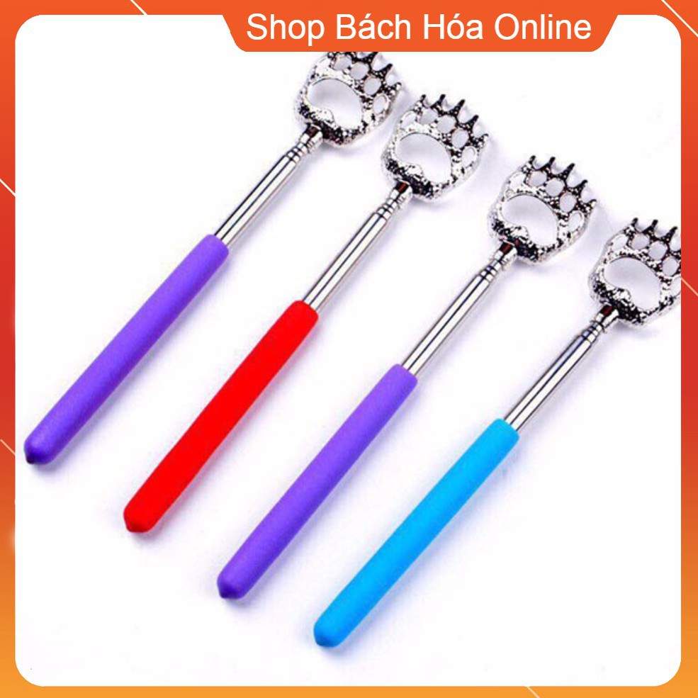 CÂY GÃI LƯNG HÌNH GẤU
