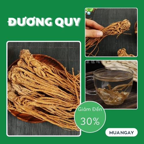 Đương quy khô 1kg - Hàng sạch chất lượng cao - hỗ trợ cải thiện sức khỏe người sử dụng - Thảo Dược Tấn Phát