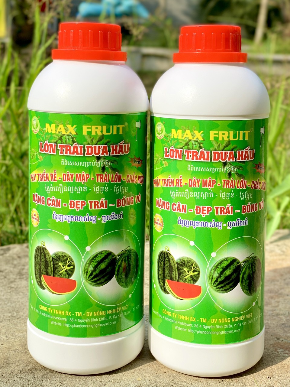 Siêu Lớn Trái Dưa Hấu