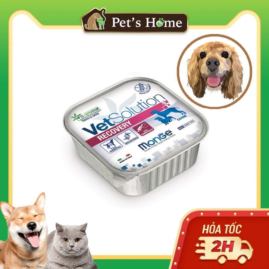 Pate Monge Vet Solution cho chó hộp 150gr