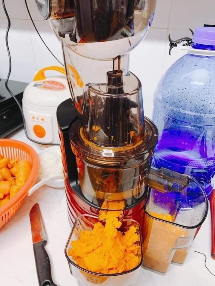 Máy Ép Chậm cao cấp SAVTM JE-31