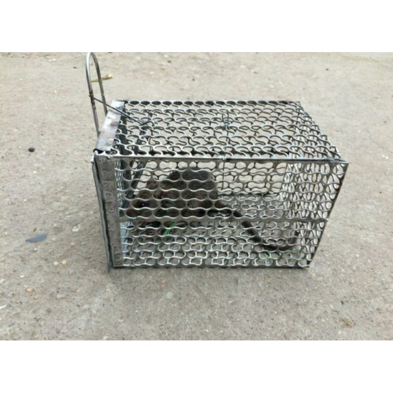Bẫy lồng chuột đa năng