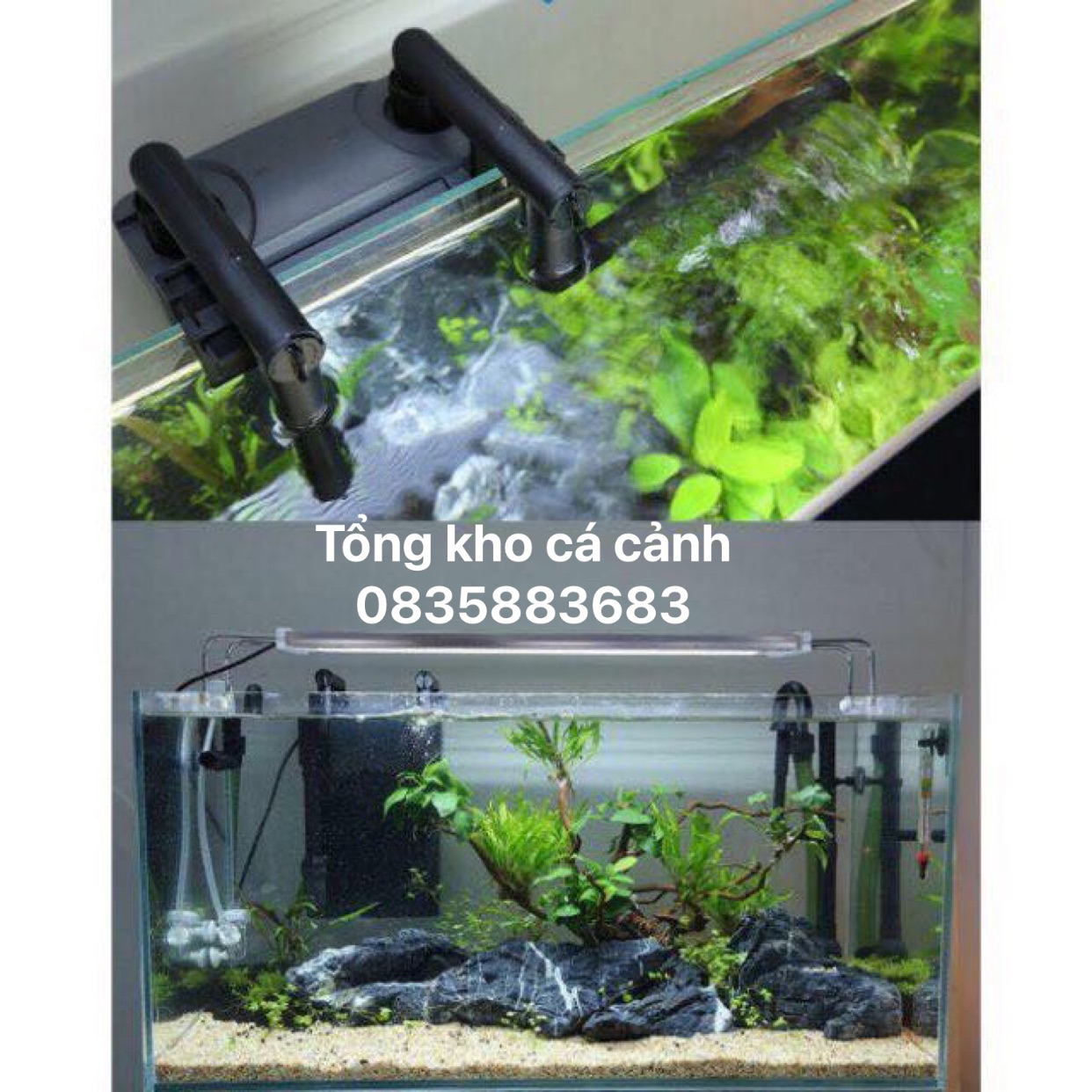 LỌC TREO HBL-803 LỌC THÙNG TREO BỂ CÁ