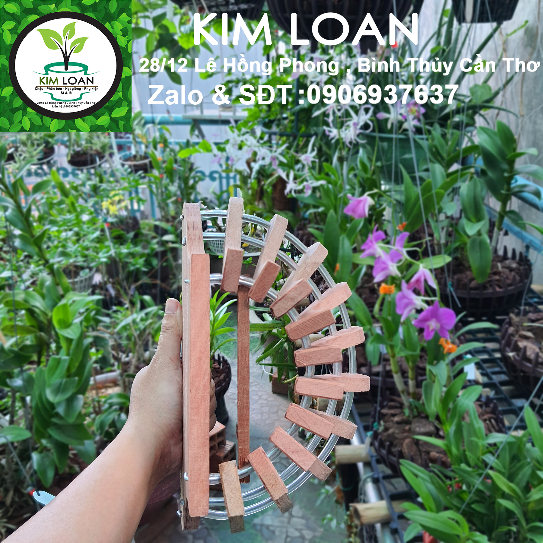 Chậu lan gỗ ốp tường