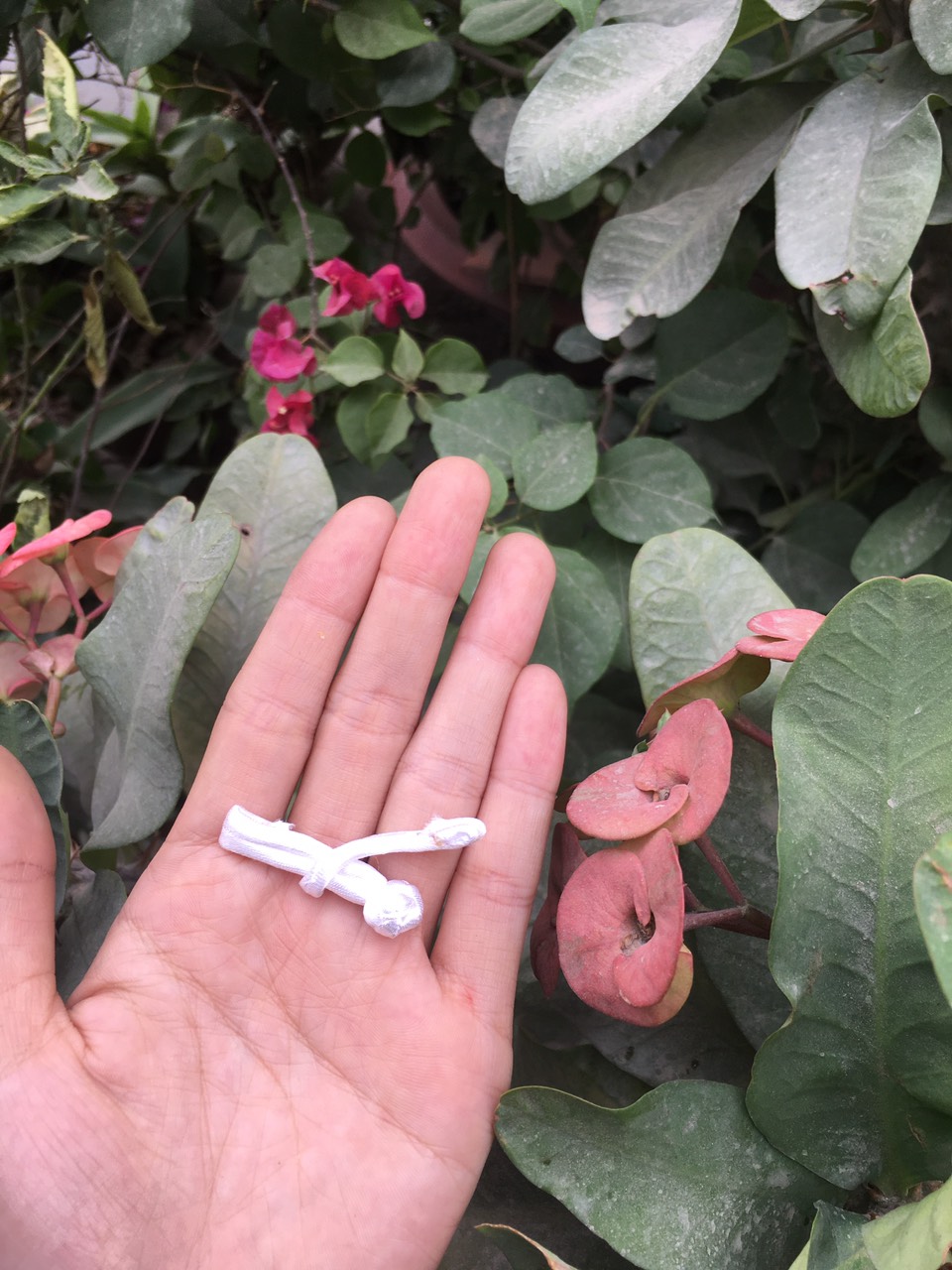 Bộ 5 nút tàu cây thanh ngang