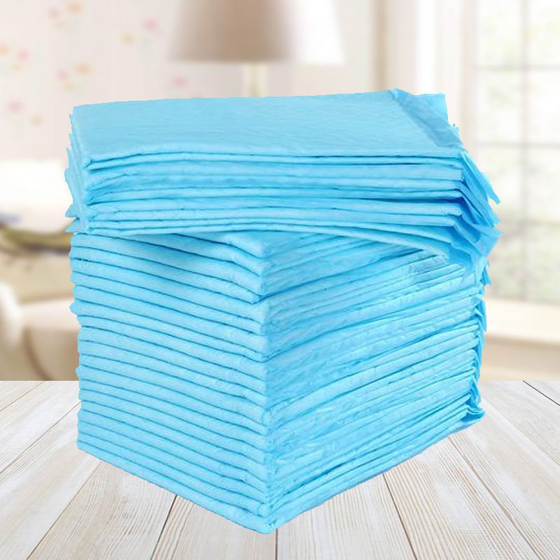 TÃ LÓT CHUỒNG CHO CHÓ MÈO ĐỦ SIZE