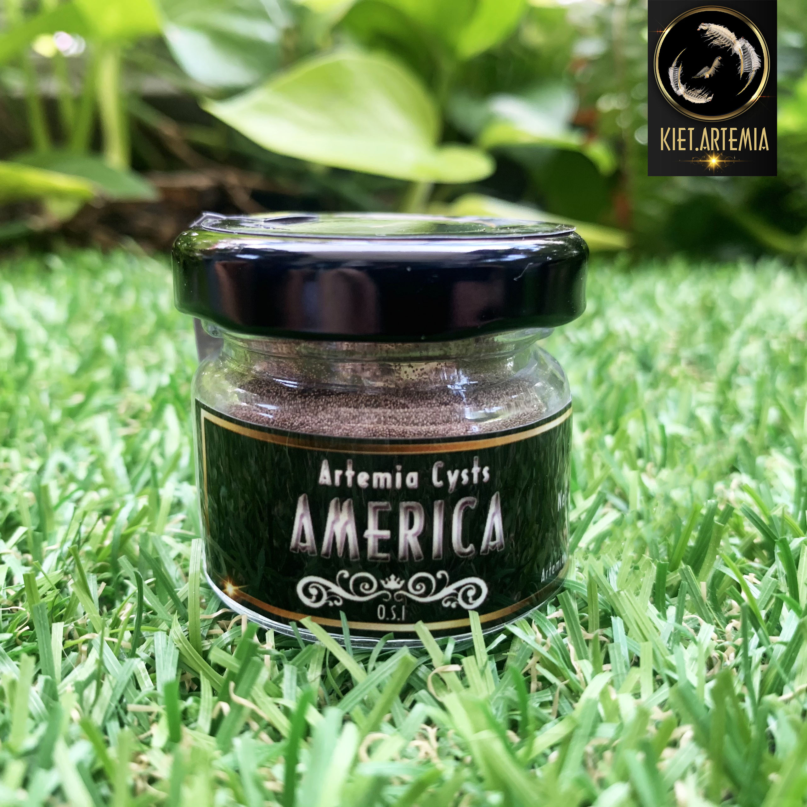 Trứng Artemia Mỹ Chất Lượng Quốc Tế 10g