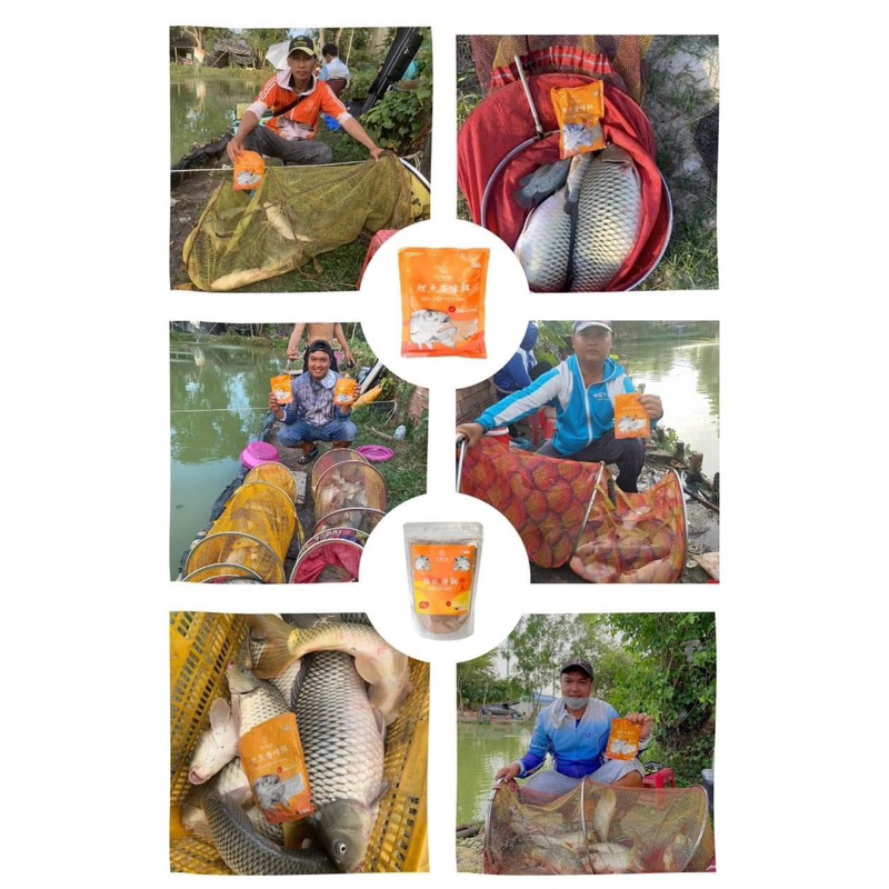 Mồi Câu Chép Thơm Tanh TS FISHING