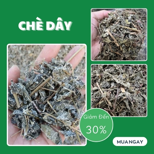 Chè dây sapa loại 1kg tấn phát - Hàng công ty chất lượng cao hỗ trợ cải thiện sức khoẻ cực kỳ hiệu quả