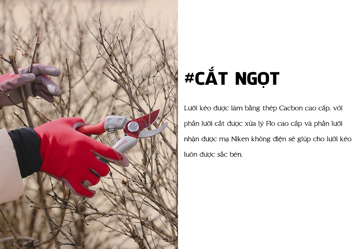 Kéo cắt tỉa cành cây Chikamasa PS-7G