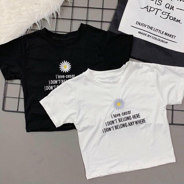 [HCM]Áo thun croptop thêu hình hoa cúc MS341