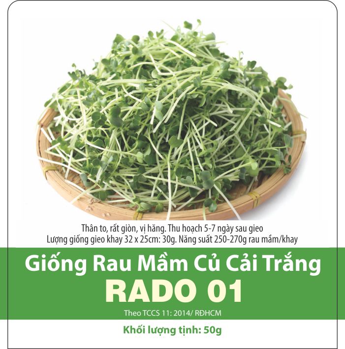 Hạt giống rau mầm củ cải trắng gói 50gr - rado 01
