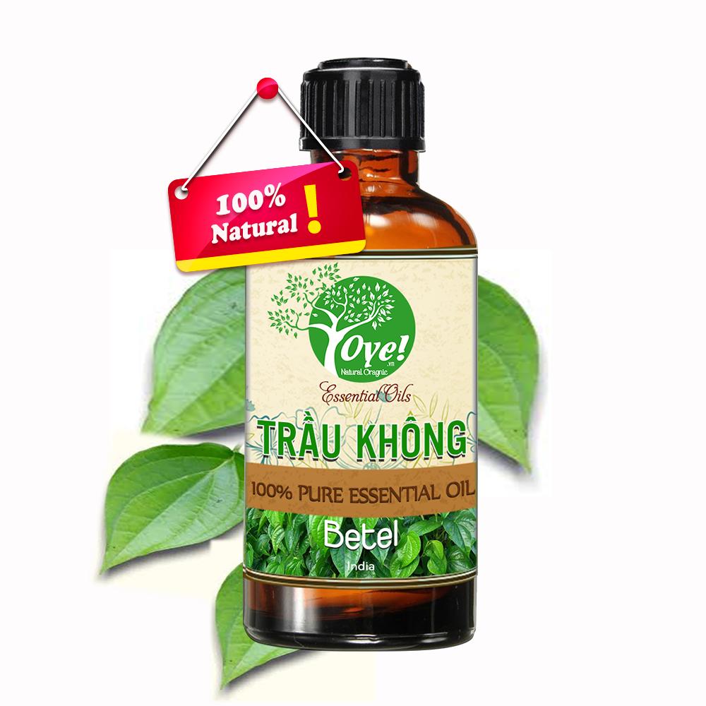 Tinh Dầu Trầu Không 50ml Nguyên Chất