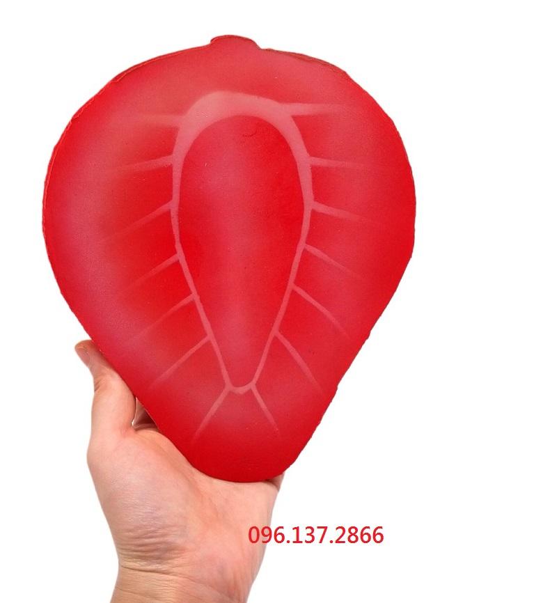 [HCM]Squishy Nửa quả Dâu Tây To Bự