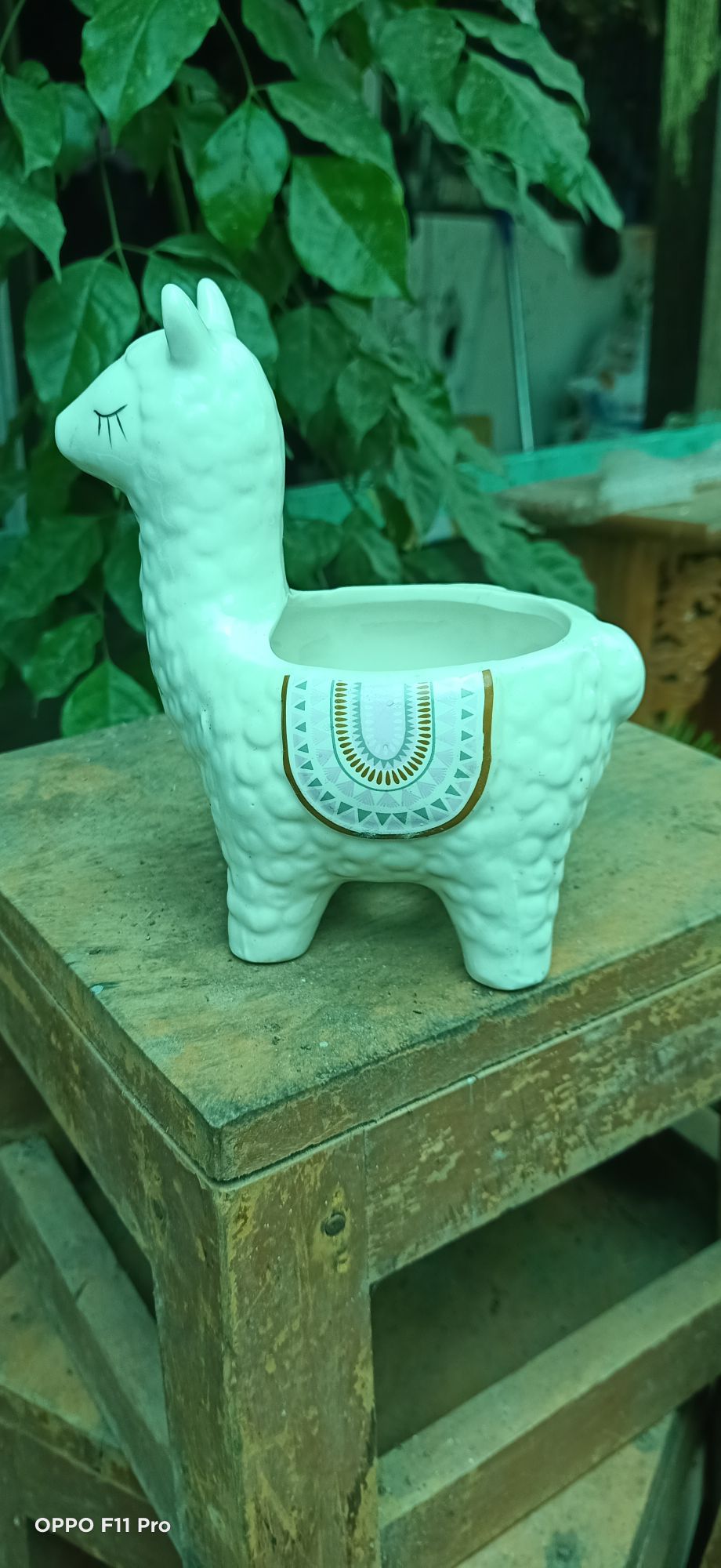 chậu gốm mini hình thú như hình