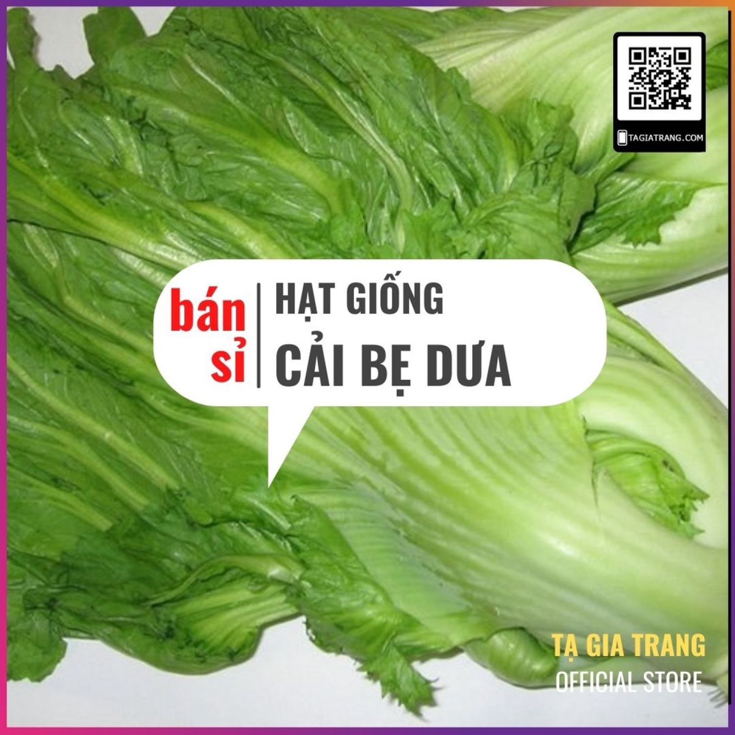 Ma504 - gói 50 hạt giống rau cải bẹ dưa