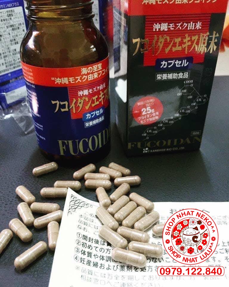 Tảo đỏ Fucoidan Nhật Bản ngăn ngừa và điều tri ung thư