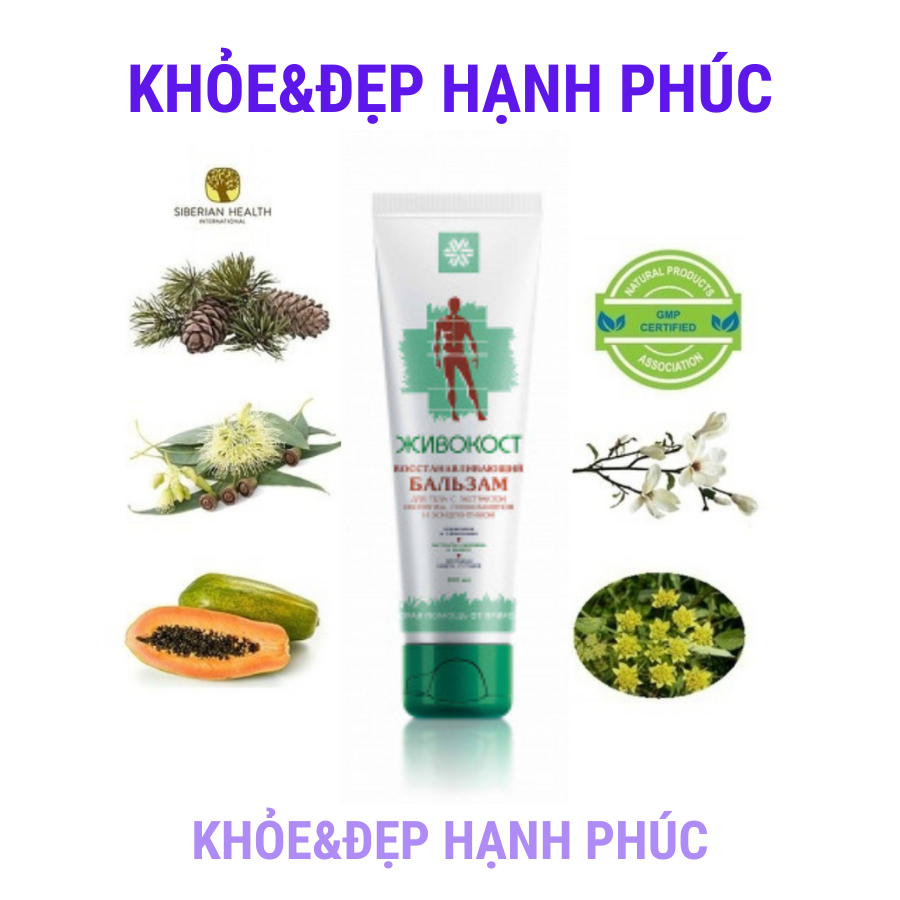 [Gel xoa khớp] Kem chăm sóc da SIBERIAN WELLNESS – 100 ml/tuýp