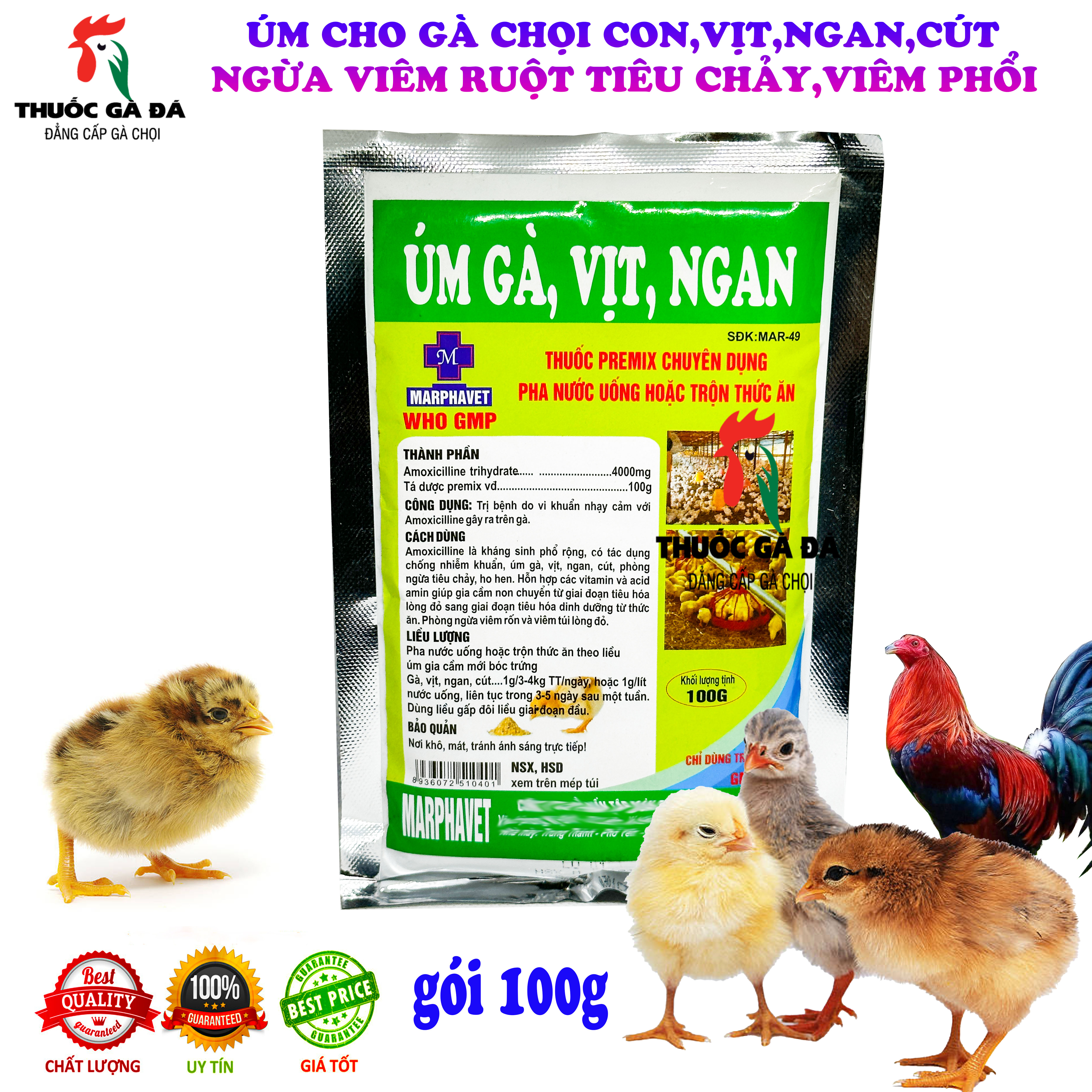 Úm cao cấp gà chọi con mới nở, vịt con,bồ câu,chim cút,chim cảnh... thủy cầm..