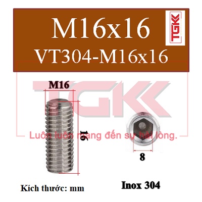 Vít trí inox 304 m16