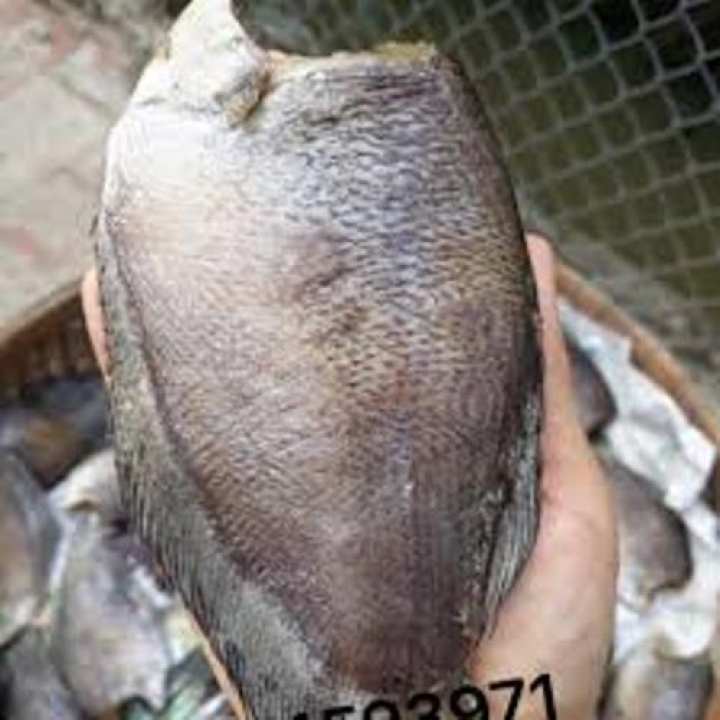 500gr KHÔ CÁ SẠC KHÔNG ĐẦU LOẠI 1 (8-9 CON /KG) ĐẶC SẢN MINH TRIẾT CÀ MAU – No Brand >>> top1shop >>> lazada.vn 🛒🛍🛒