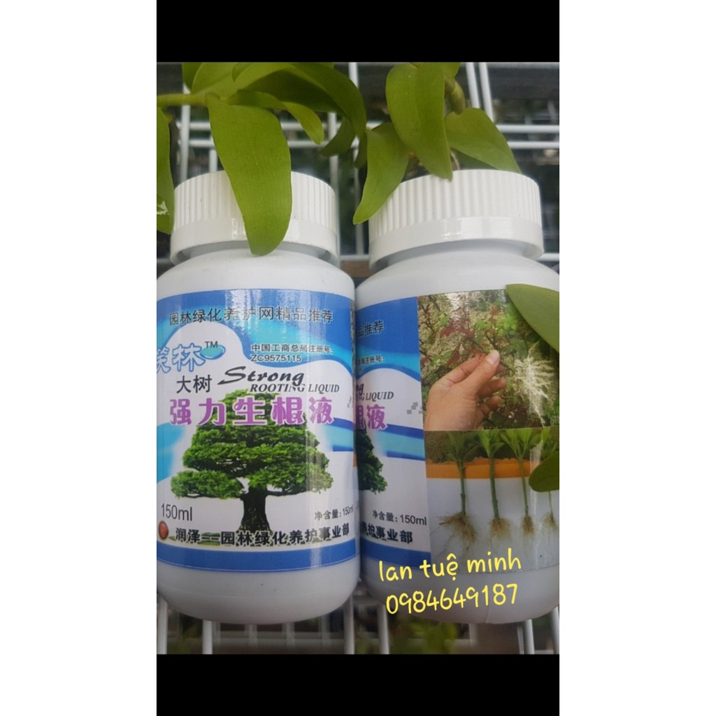 Kích rễ Đài Loan siêu mạnh chuyên dùng cho hồng và các loại cây cảnh bonsai, cam kết sản phẩm đúng mô tả, chất lượng đảm bảo