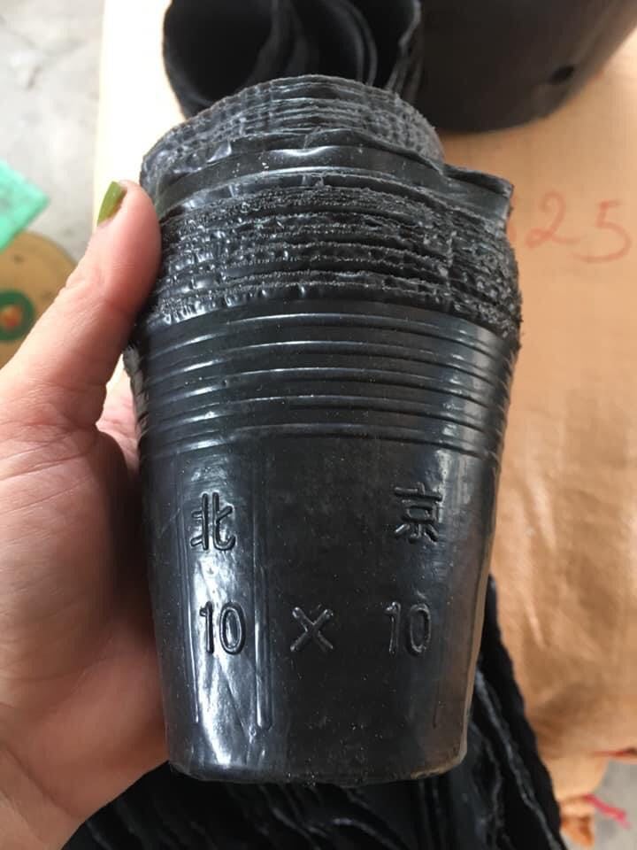 1 kg Túi ươm/Bầu ươm cây 10x10