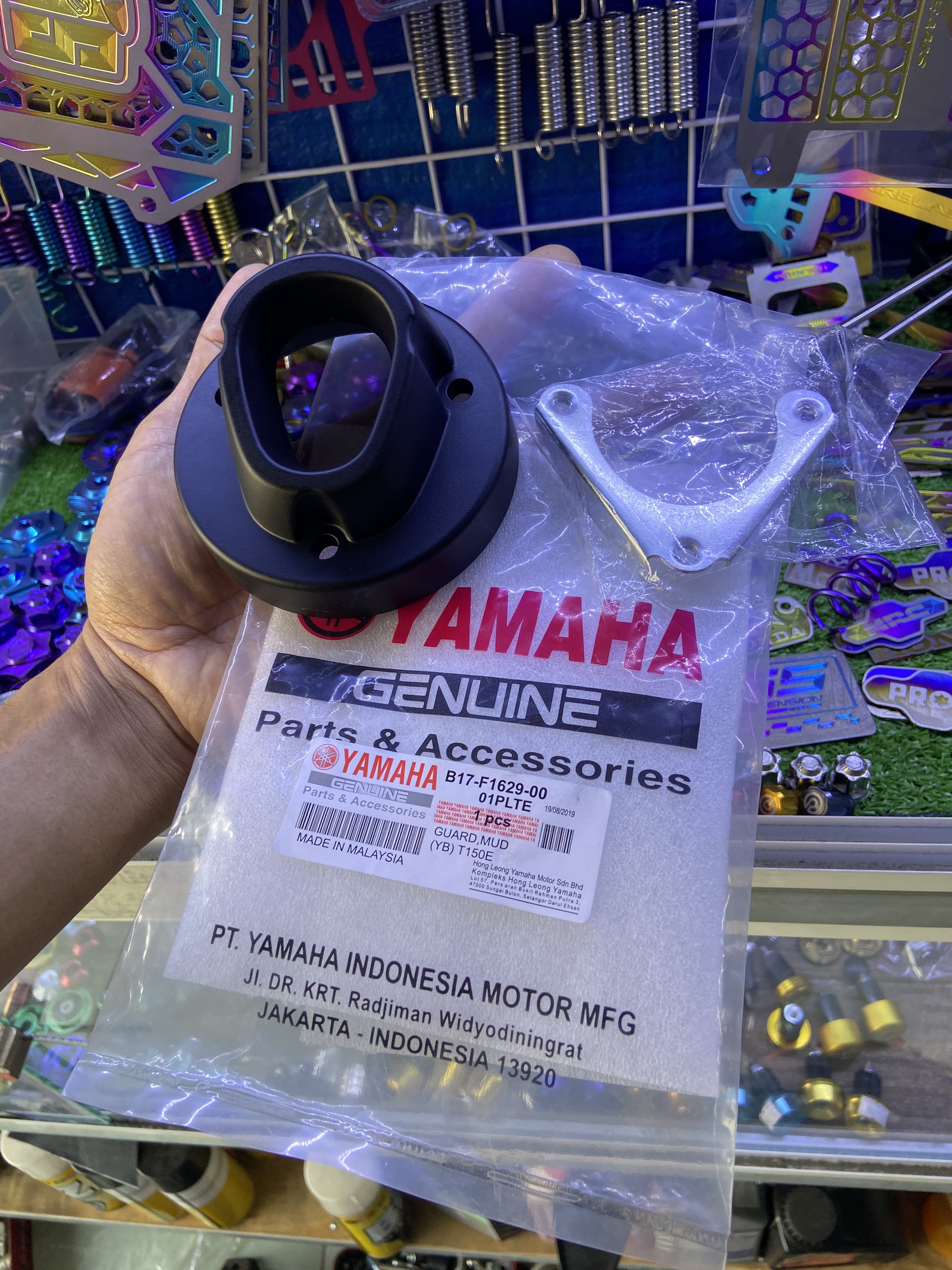 chụp đít pô TFX