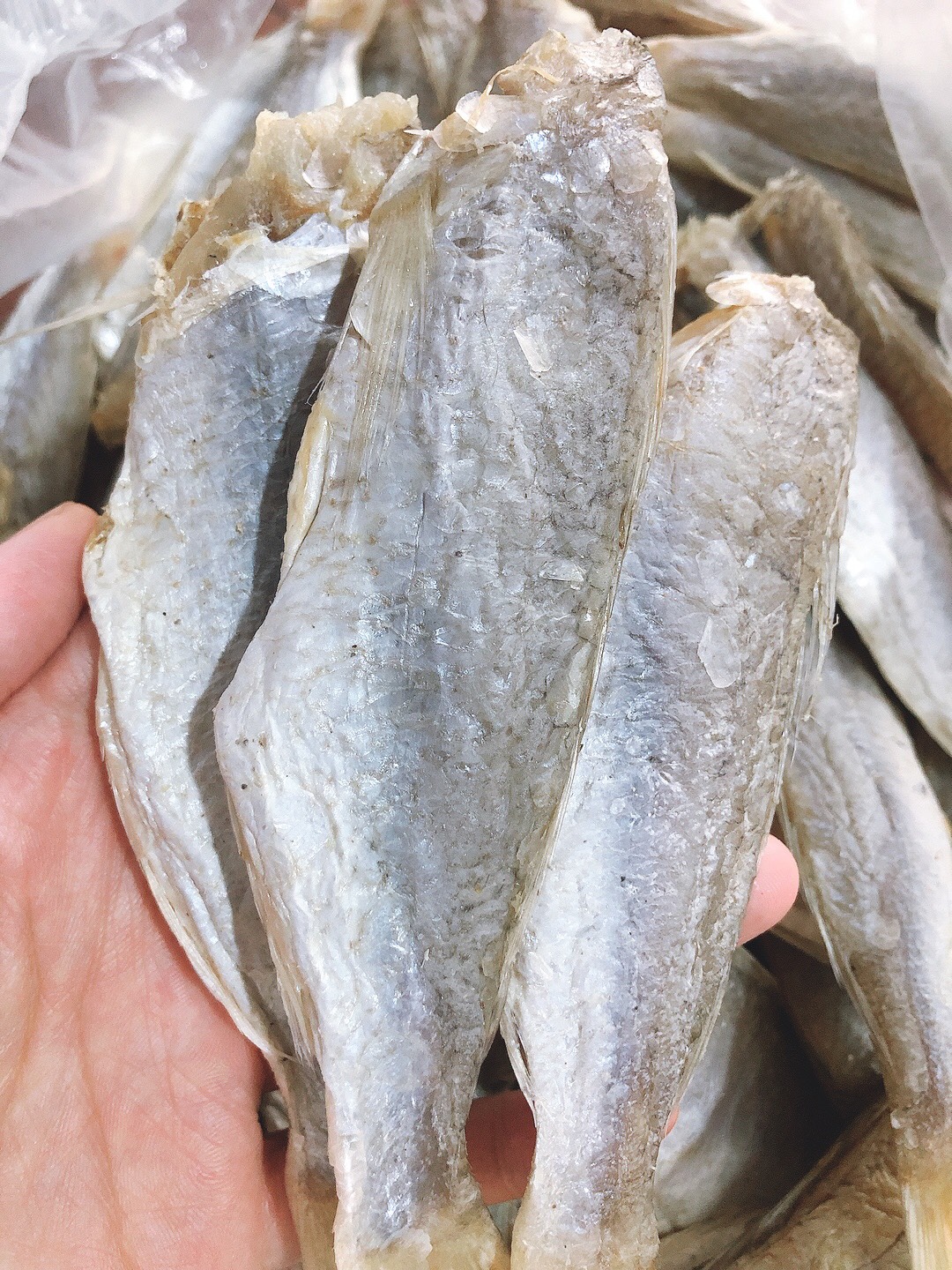 [1KG] - CÁ PHÈN HÉO/ CÁ ĐÙ KHÔ HÉO ƯỚP MẶN